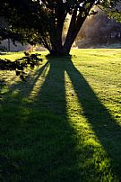 Sensommarens solnedgång